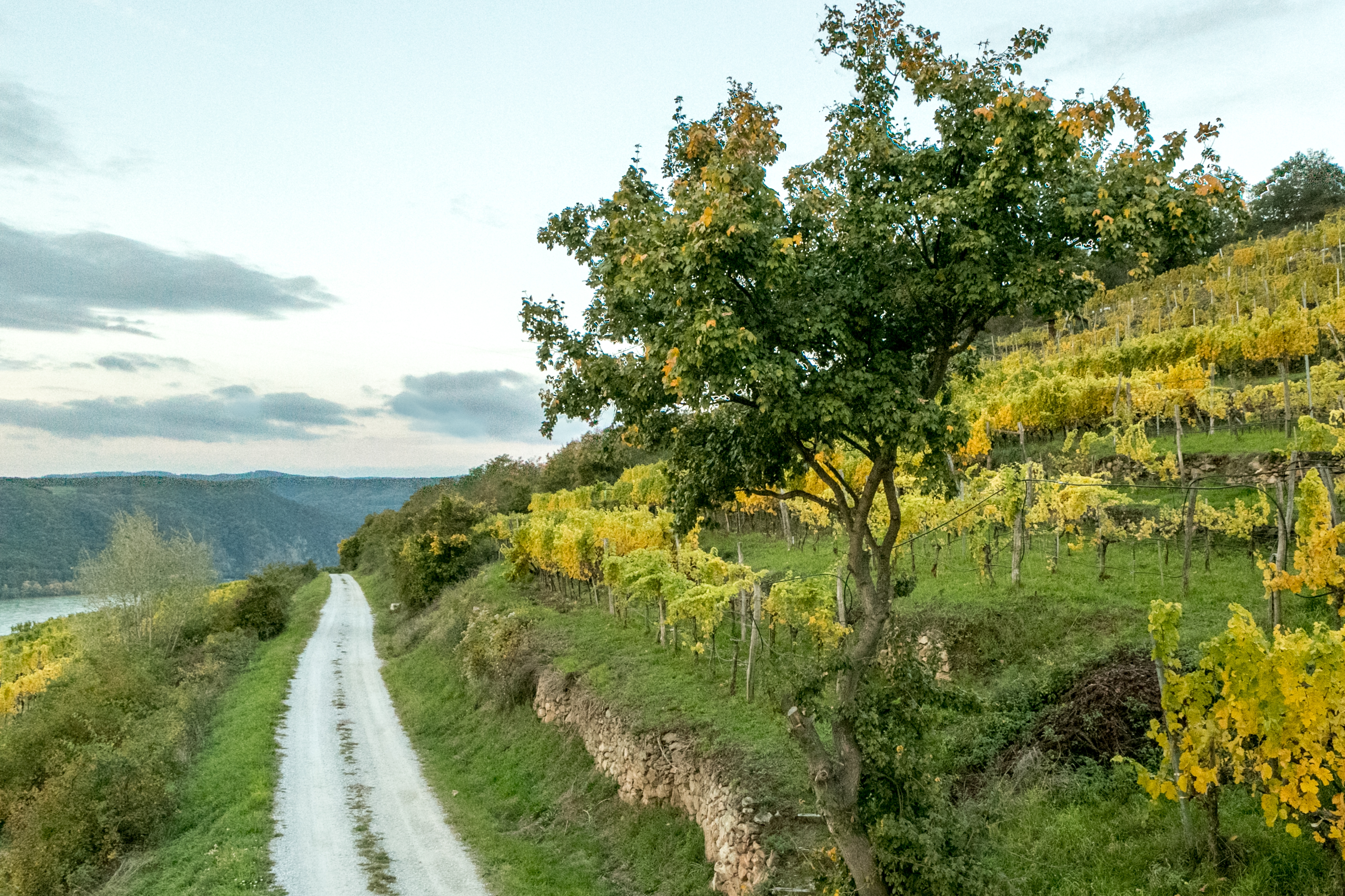 Weingut Salomon Undhof